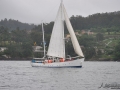 Regata (14)