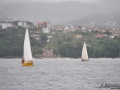 Regata (16)