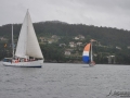 Regata (17)