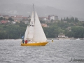 Regata (19)