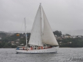 Regata (23)