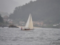 Regata (28)