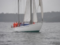 Regata (29)