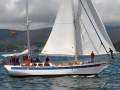 Regata (3)