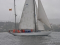 Regata (39)