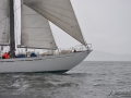 Regata (40)