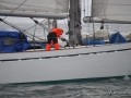 Regata (41)