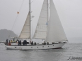 Regata (48)