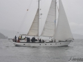 Regata (49)