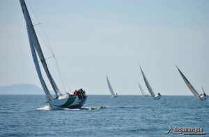 Regata Ría de Pontevedra, Sebrala y Sqüid brillantes vencedores